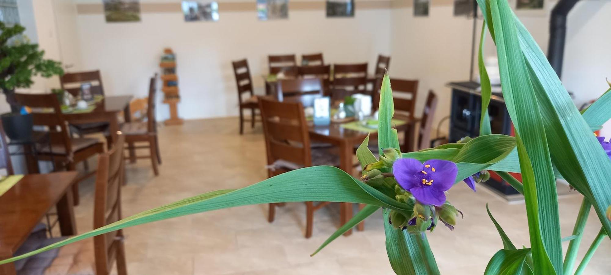 Gaestehaus Wohngut Eisenach Eksteriør billede